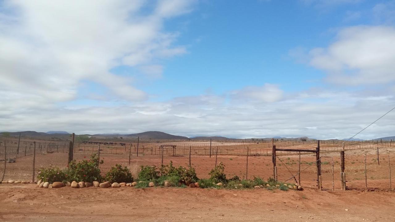 Pureplaas Self Catering Volmoed Oudtshoorn Klein Karoo Apartman Kültér fotó