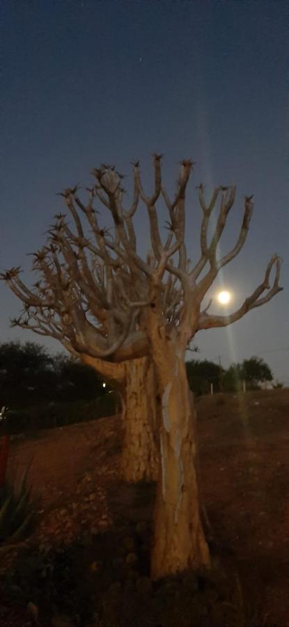 Pureplaas Self Catering Volmoed Oudtshoorn Klein Karoo Apartman Kültér fotó